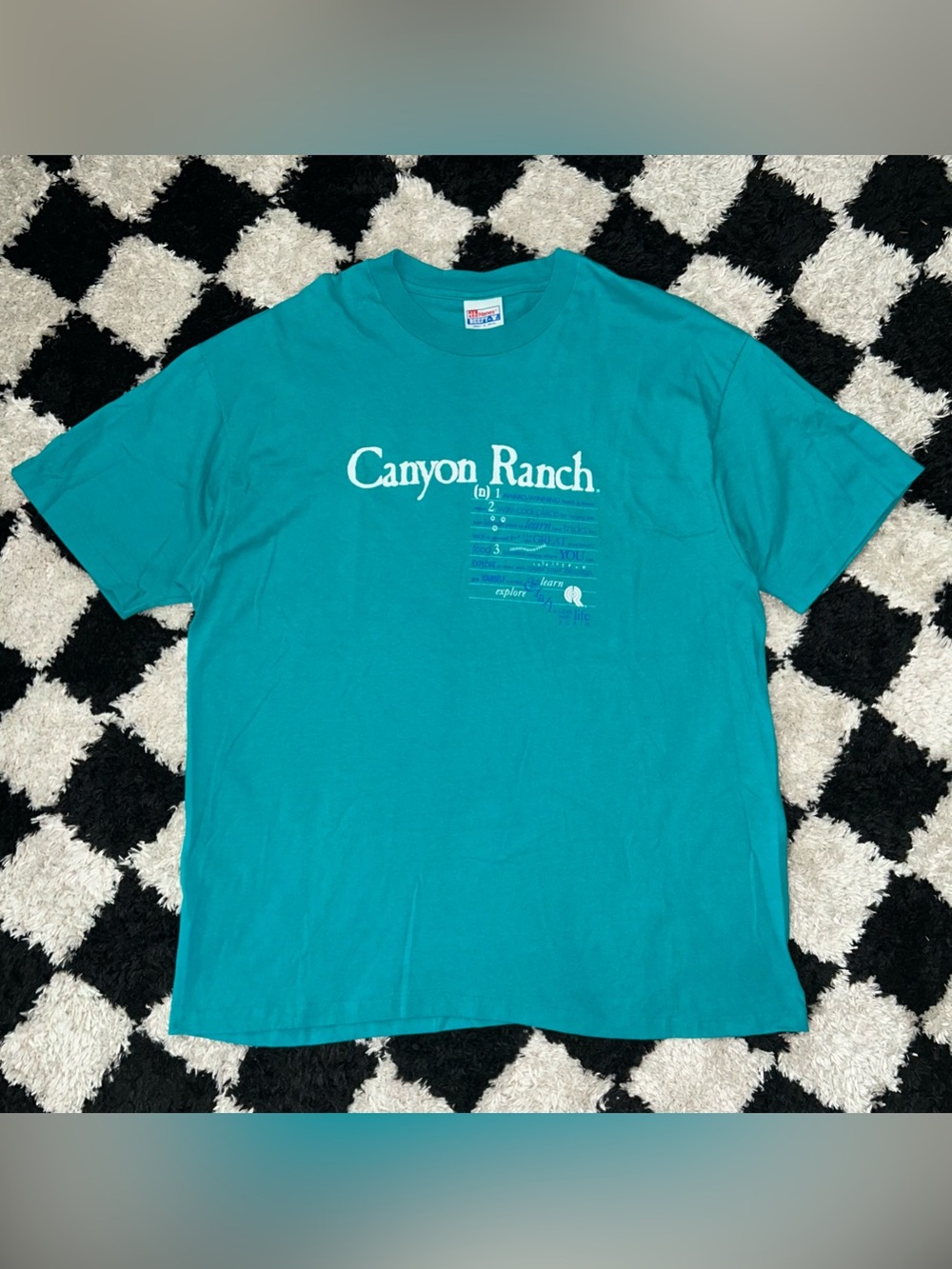 Hanes Beefy-T Vintage 90s Men's XL Teal T-Shirt Canyon Ranch Single Stitch Blue